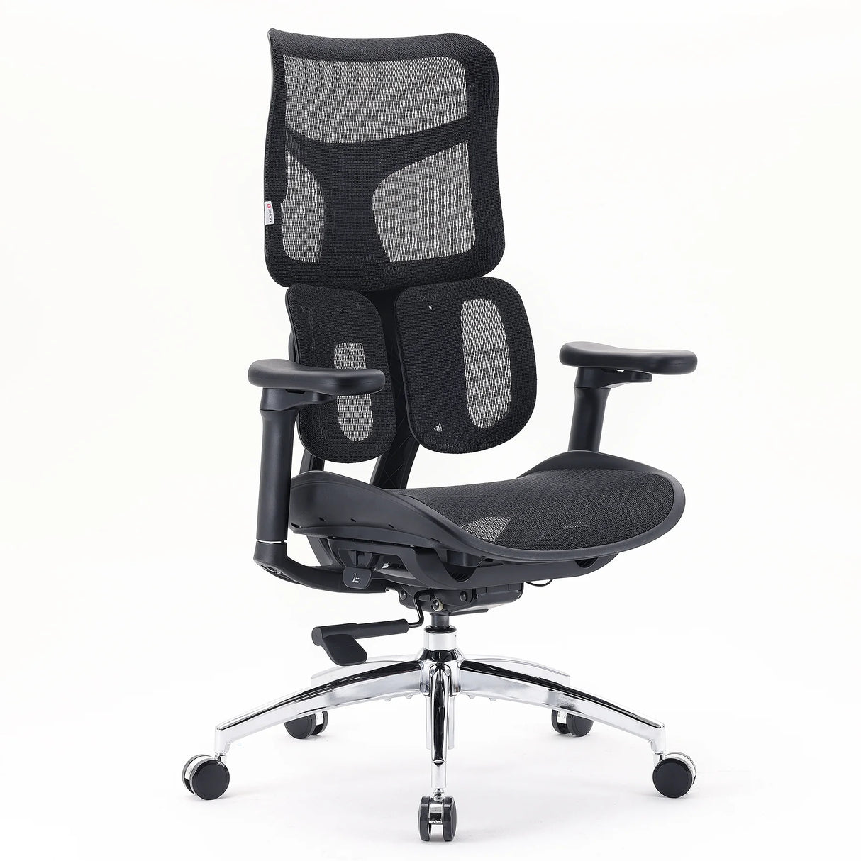 This is a product image of the doro s100 ergonomic office chair