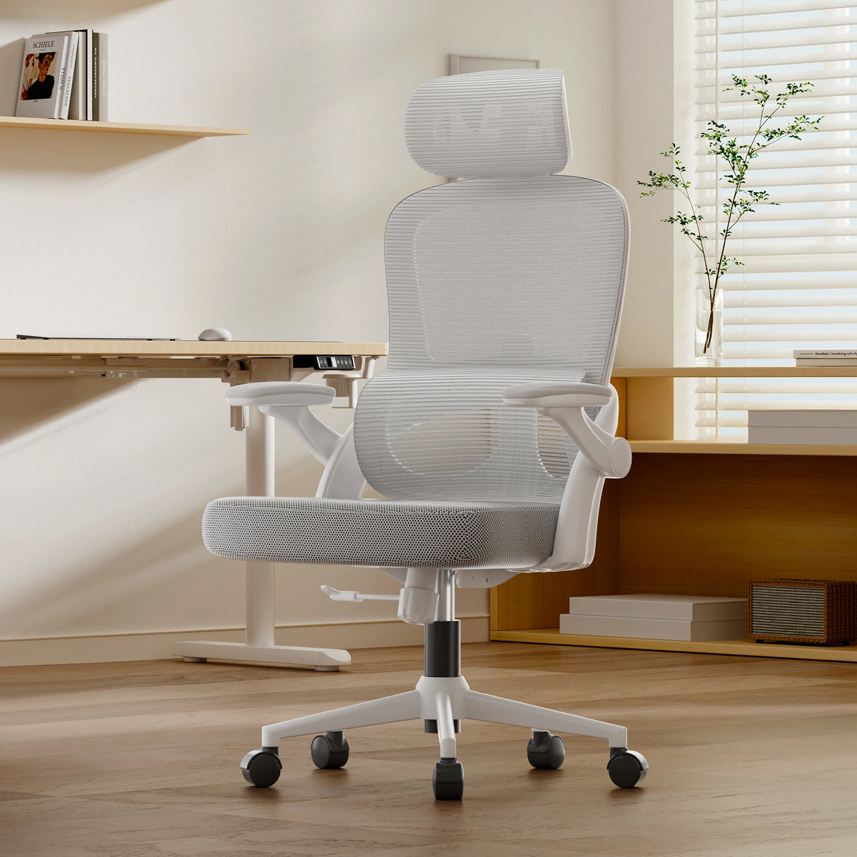 This is the product picture of M102C office chair