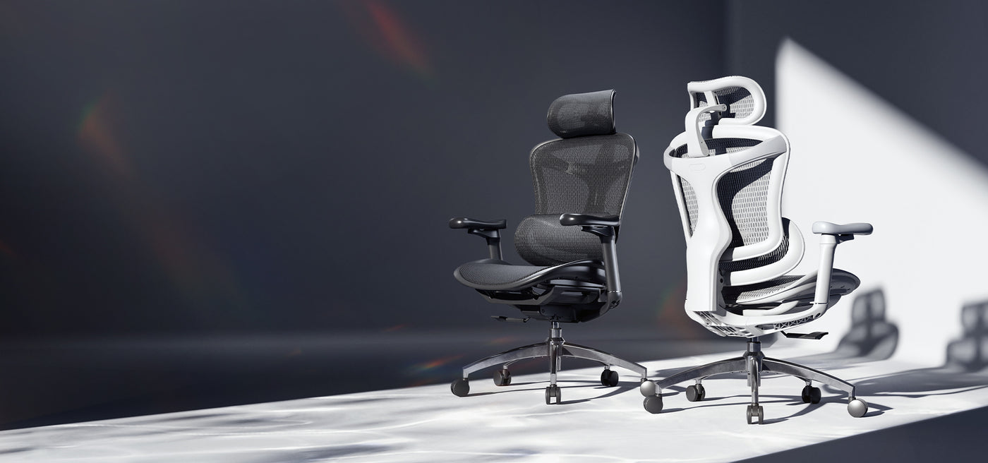 SIHOO Doro C300 Office Chair