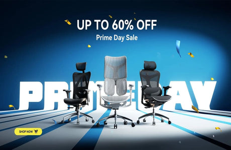 Which Sihoo Ergonomic Chair is Right for You This Prime Day