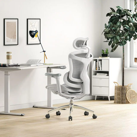 Sihoo Doro C300 Ergonomic Rotating Office Chair