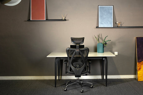 Ergonomic Office Chair vs. Working Standing