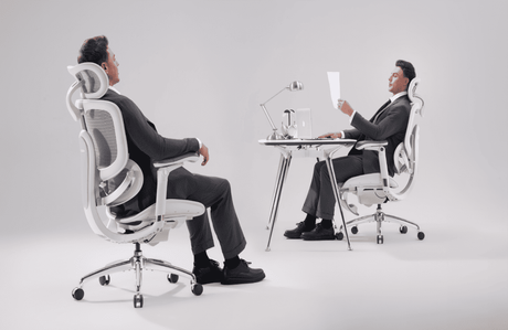 Introducing the Sihoo Doro C300 Pro V2