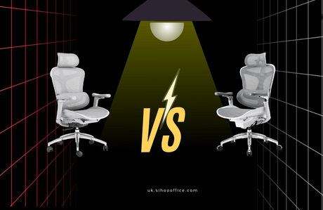 Sihoo Doro C300 vs C300 Pro: Which Ergonomic Office Chair Should You Choose?