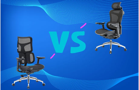 Sihoo Doro C300 vs S100