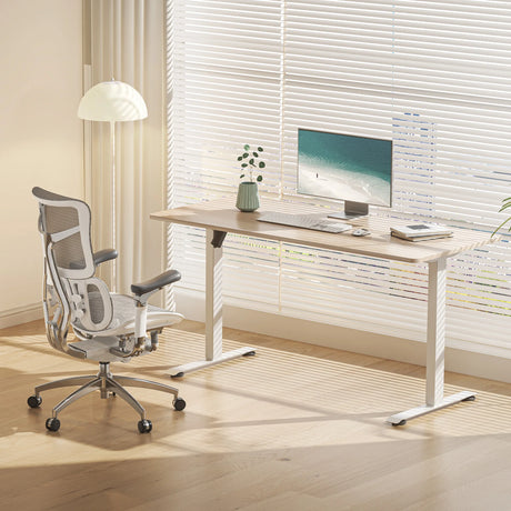 D03 Electric Adjustable Standing Desk