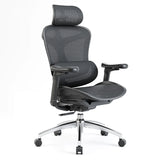 (Pre order) Doro C300 Ergonomic Office Chair