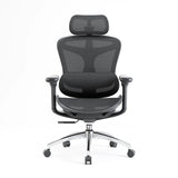 (Pre order) Doro C300 Ergonomic Office Chair