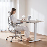 D03 Electric Adjustable Standing Desk