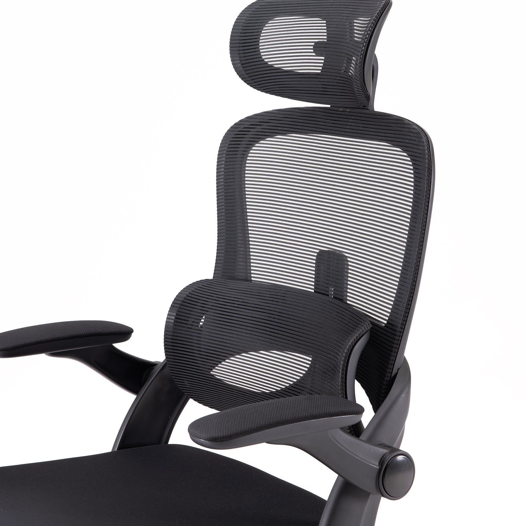 Sihoo M102C Ergonomic Chair