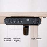 D03 Electric Adjustable Standing Desk