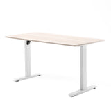 D03 Electric Adjustable Standing Desk