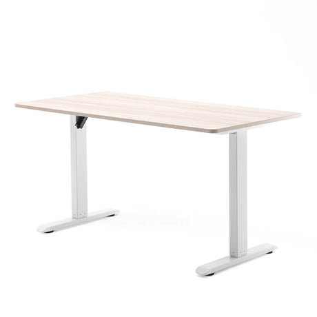 D03 Electric Adjustable Standing Desk