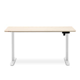 D03 Electric Adjustable Standing Desk