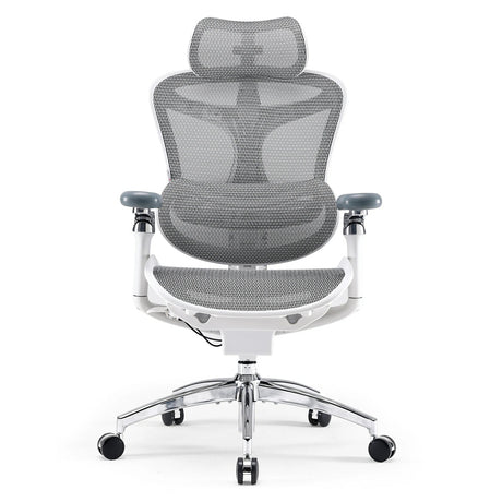 Doro C300 Pro Ergonomic Office Chair