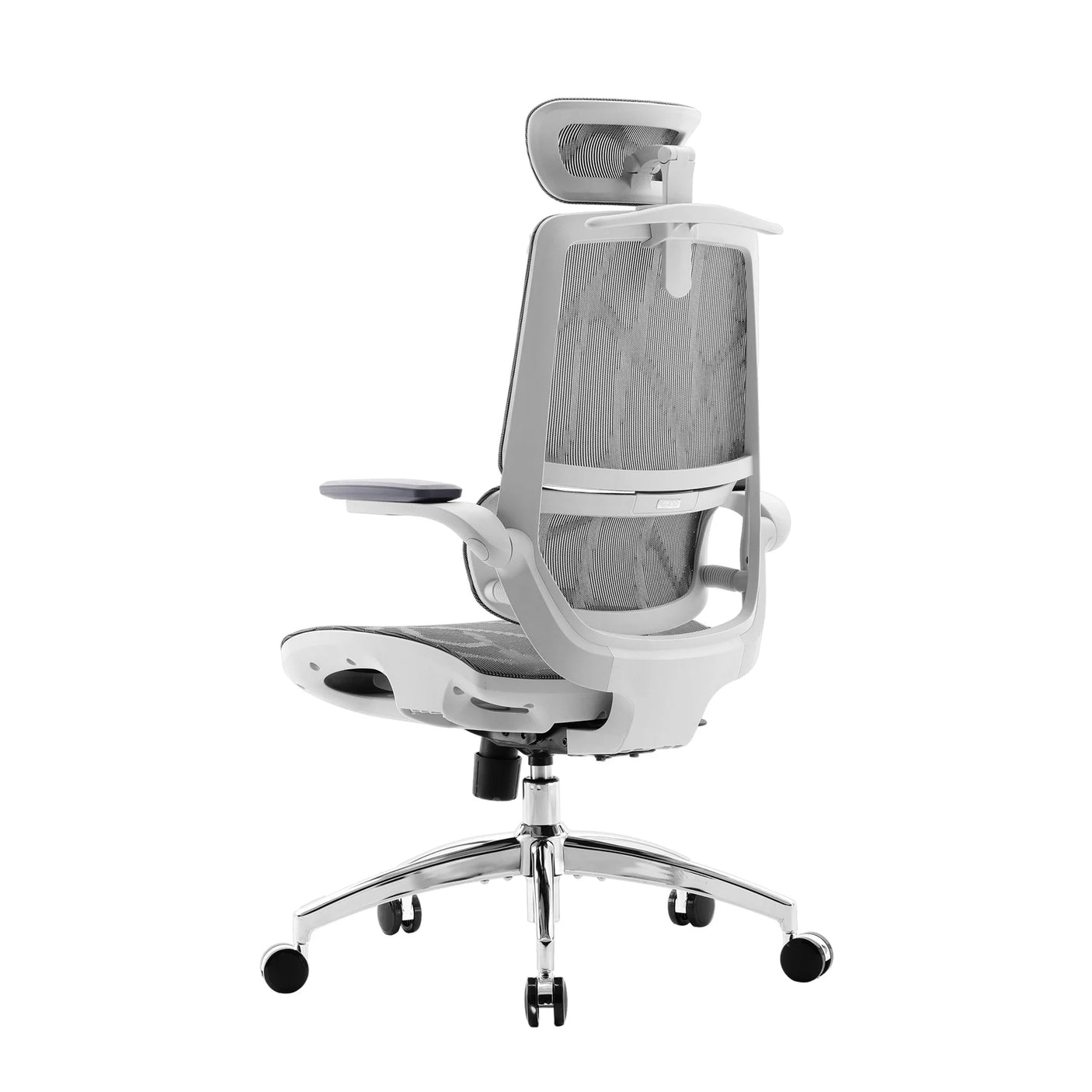 M59AS Ergonomic Office Chair