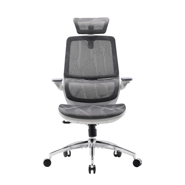 M59AS Ergonomic Office Chair