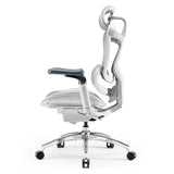 Doro C300 Pro Ergonomic Office Chair