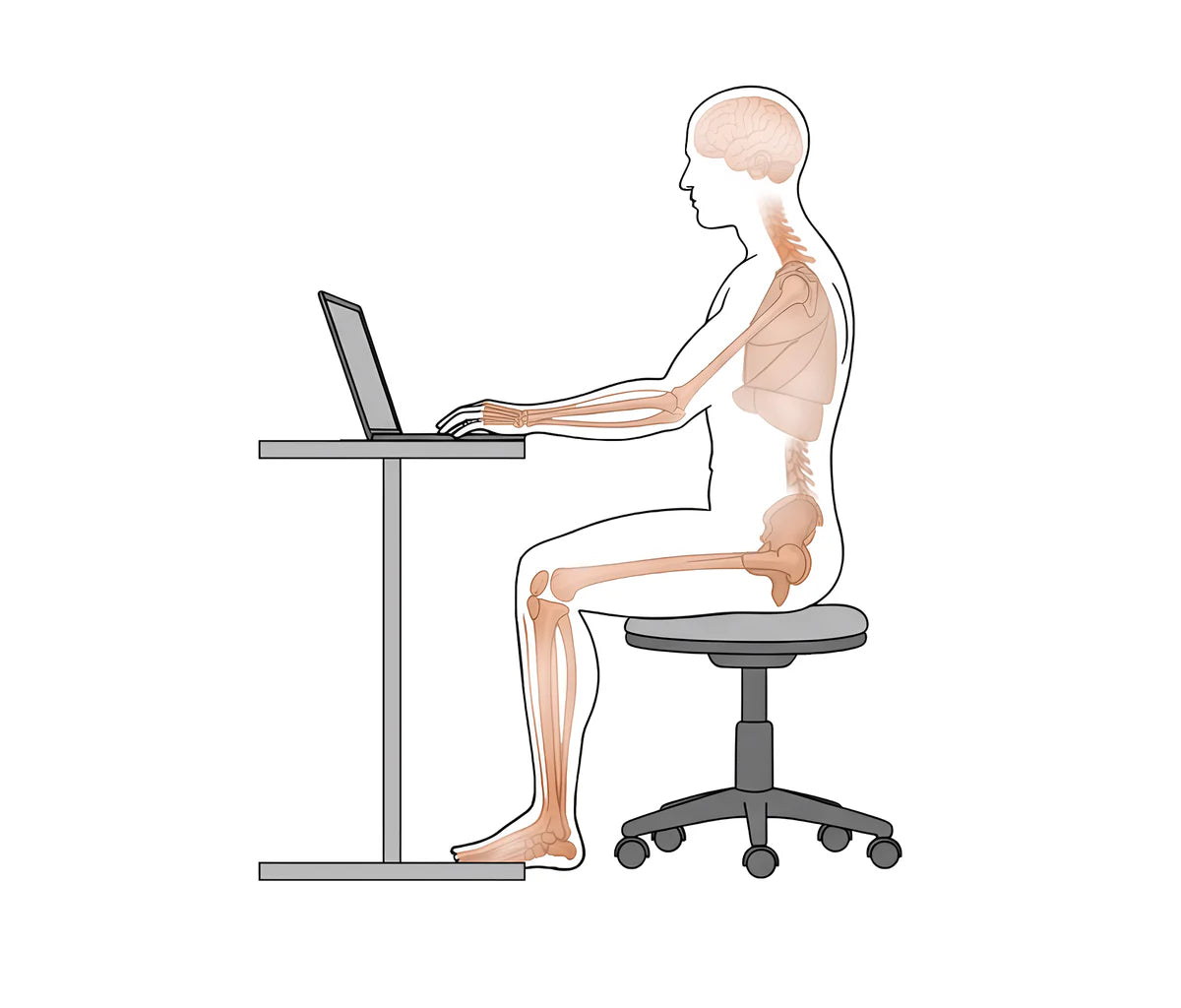 Sitting Too Long? Your Heart May Be at Risk