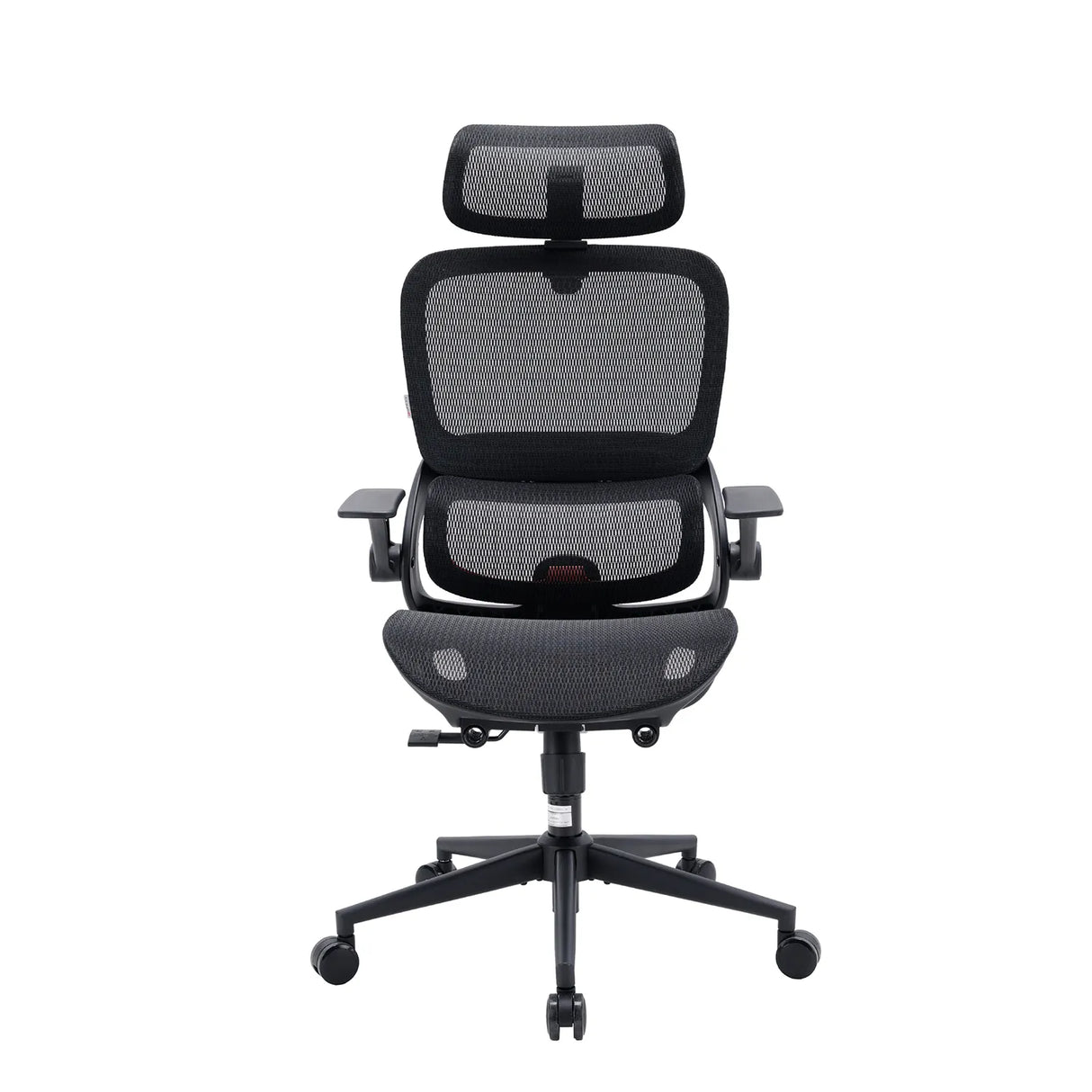 B100 Ergonomic Office Chair | Mesh, Dual-Adjustable Lumbar & 3D